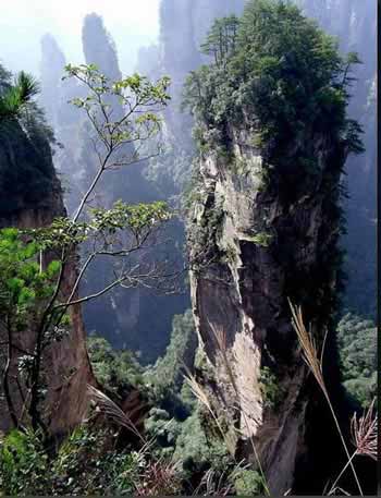 長沙出發(fā)到張家界溶洞奇觀黃龍洞、國家森林公園、袁家界、峰林之王天子山三日游（早班）
