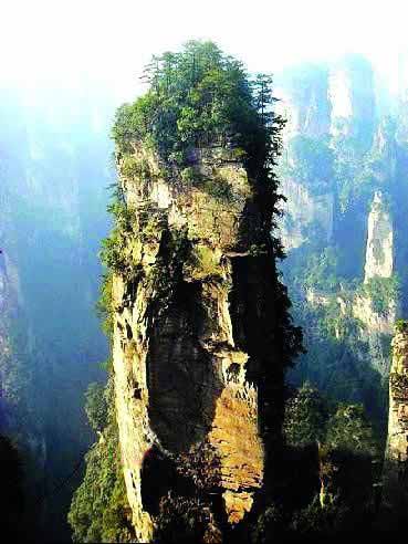 張家界國(guó)家地質(zhì)森林公園、黃石寨、金鞭溪休閑一日游