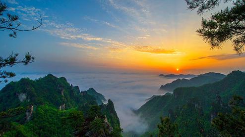 張家界森林公園（金鞭溪、袁家界、楊家界、天子山、十里畫廊）住山上2天1游（可看日出）
